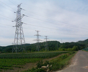P1130605.JPG