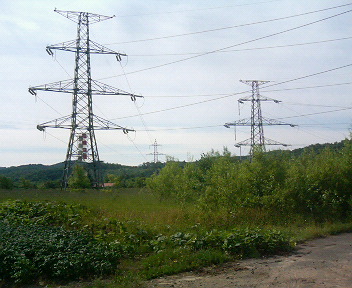 P1130606.JPG