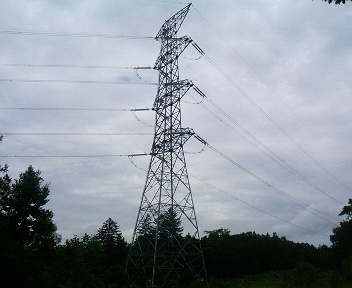 P1130855.JPG