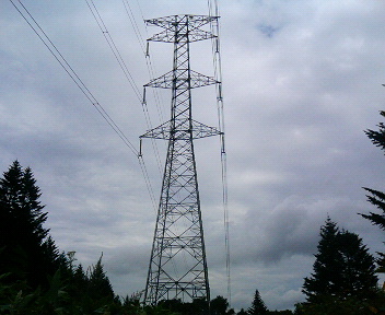 P1130858.JPG