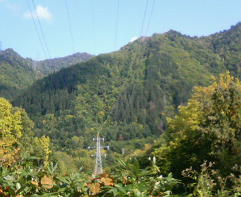 P1130911.JPG