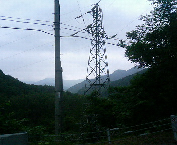 P1131326.JPG