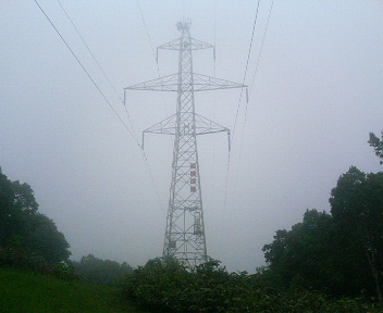 P1130348.JPG